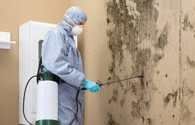 Mold Removal for HVAC Installations in Walthourville, GA